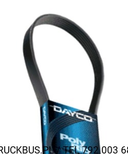 PASEK KLINOWY ŻEBROWANY WIELOROWKOWY 8PK1875/28,28