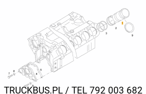 Tuleja cylindra nominał  10,05 mm Man D2842